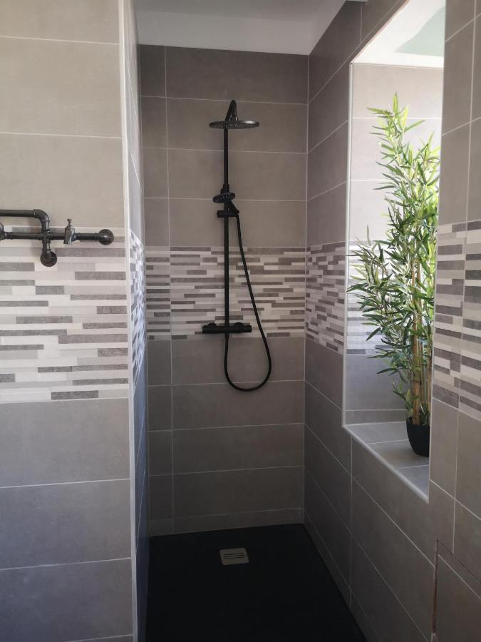 Appartement Proche Stations De Ski Et Thermales Люс-Сен-Совер Екстериор снимка